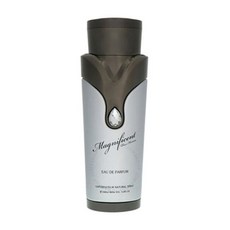 알마프 Men's Magnificent pour Homme 오드퍼퓸 100ml 향수, 1개 - 알마프