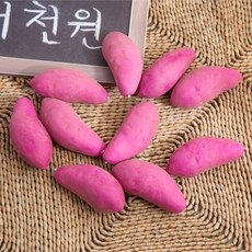 군고구마놀이 TOP01