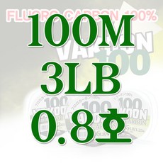 바쿤 100 루어 민물 바다 카본 전천후 낚시줄, 투명