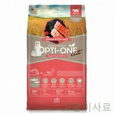 씨켓