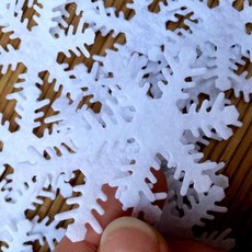 양모펠트말티즈