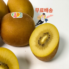 제스프리 골드키위 특대왕 점보 5.8kg 37개입 1.8kg 16개입, 1.8kg 1박스 (4입x4팩 16개입