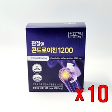 콘드로이친 관절엔 콘드로이친1200, 60정, 10개