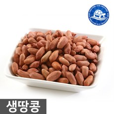 장수왕 중국산 생땅콩 1kg 중부시장도매 간식 안주 견과류, 1개