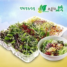 기타 초록이슬새싹/새싹채소+어린잎채소(총300g)/브로콜리/유채/콜라비/적무/배추/무공해식품/무농약, 단품없음