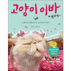 고양이 이바가 왔다옹