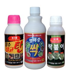 사과탄저병