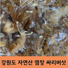 [국내산] 강원도 일대 산에서 직접 채취한 100% 자연산 참싸리버섯(염장), 1개, 500g