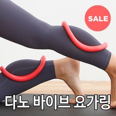 다노바이브요가링