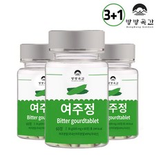 인천제주여객선