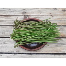 평창박농부 부드러운 고구마줄기 고구마순 2kg 3kg 4kg 강원도 산골 노지