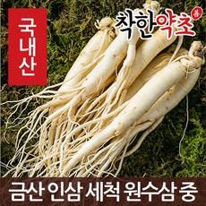 착한약초 금산 인삼 50종 수삼 삼계용 인삼주키트 선물세트, 1개, 1I9V_금산 인삼 세척 원수삼 중 375g