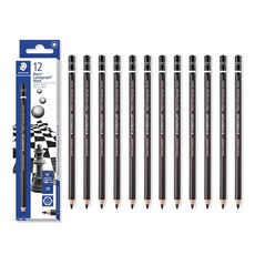 STAEDTLER 100B 마스 루모그라프 블랙 아티스트 연필(12자루), 2B, 12개입