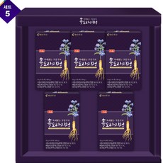 보뚜 목애는 구증구포 흑도라지청10g x 45입x 5세트 선물세트 도라지청 스틱, 5박스, 45입
