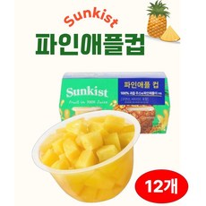 온니위드 프리미엄 파인컵과일, 12개, 113g