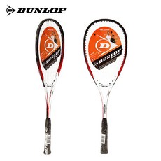 던롭스쿼시시합공인구