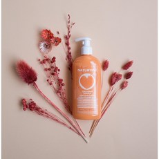 Naturtint 네이처틴트 컬 디파이너 샴푸 Curl Definer Shampoo, 1개, 330ml