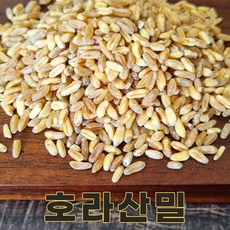 전남 무안 24년산 국산 호라산밀 500g 카무트쌀 카뮤트, 1개