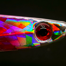 레인보우갈치바늘