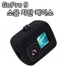 고프로9마이크