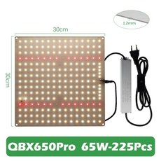 햇빛아래식물등