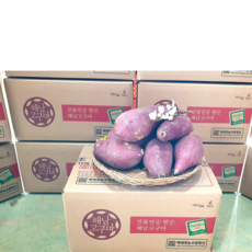 해남다애네농장