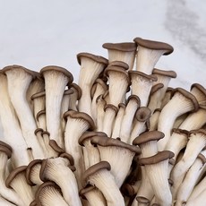 느타리버섯볶음