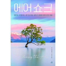 에어 쇼크, 도서