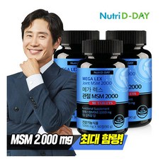 메가렉스관절msm2000