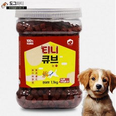 펫러닝 강아지 티니큐브 간식, 연어, 1.1kg, 1개