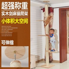 900f76ce6cdc9809abfed93e75552deb899ec62442e4b5f85692ac22c3d0.jpg