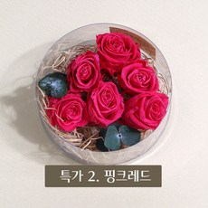화연양화 미니장미 6개입 프리저브드플라워 시들지않는생화, 특가2 핑크레드