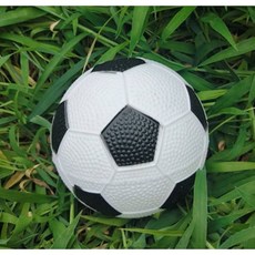 공정무역축구공