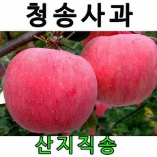 //상품명
