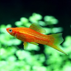 d7d258c755366f5d4d5539849ec6dc29e1fe809e86b15d70fcef5bbc5580.jpg