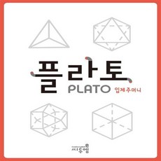 플라토입체주머니