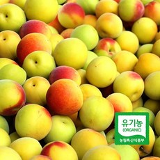 2021년 광양매실 유기농 황매실 5kg 10kg 예약주문, 특대5kg