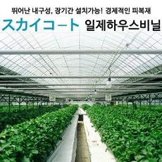 하프 싱글코트