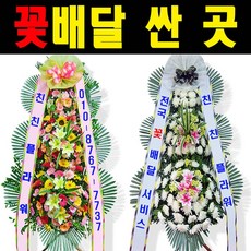 근조화환 장례 장례식 축하화환 결혼식 화분 동양란 전국당일 꽃배달싼곳 서양란