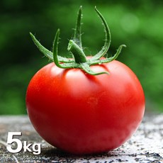 [k tomato]맛있는 국내산 완숙/찰토마토 5kg 2.5kg, 대과 5kg, 1개