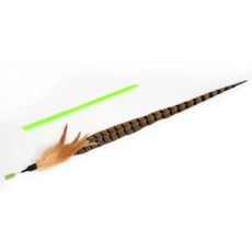 (2개)펫모닝 스윙캣 꿩깃털, 본상품선택, 1