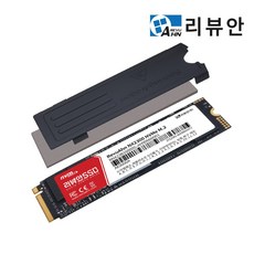 리뷰안 NX2300 DRAM NVMe M.2 SSD 2280, 512GB