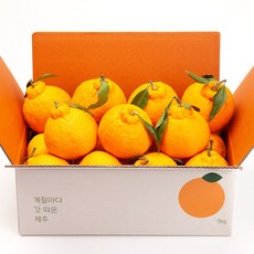 깨비농원 제주 한라봉, 1box, 한라봉 4.5kg 대과(10-15과)