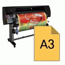 얼룩말실사출력