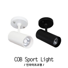 스포트직부등