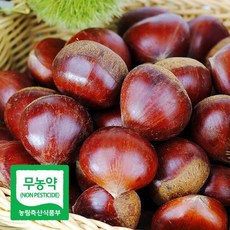 [푸드마인] 24년 햇 무농약 공주 정안밤 대품 2kg 농가직송