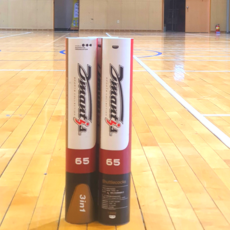 프로앤이글셔틀콕