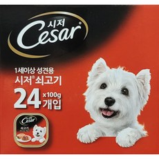 라포그소프트사료