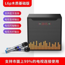 해외 가정집 노래방 마이크 수화기 오디오 일체형 블루투스 스피커폰 가정용 전력, 옵션04, 01.공식 규격.