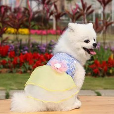 강아지 한복 고양이 설빔 원피스 코스튬 설날 옷 호랑이마켓, 1개, 노랑